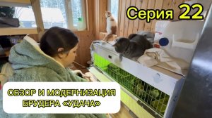 Серия 22. Обзор брудера для цыплят удача , его подготовка и модернизация .