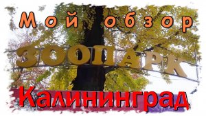 #46: Калининградский зоопарк осенью 2025 года