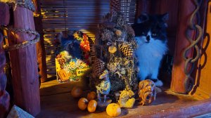 Волшебство Новогодней ночи и сияющее утро 1 января