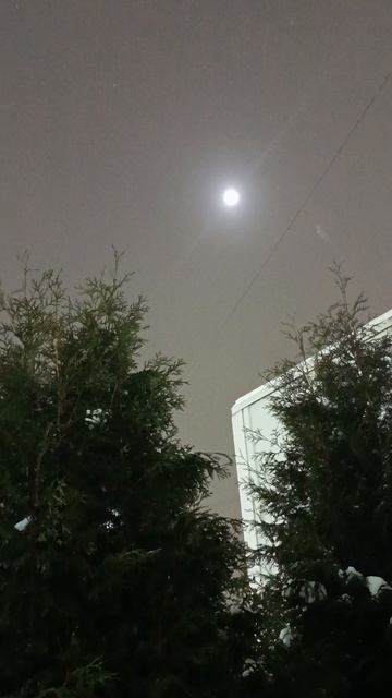 непонятка смотреть онлайн