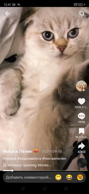 я и Ангел плей