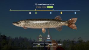 Русская Рыбалка 4-Новогодние Задания 2026: Щука не менее 4,5 кг оз. Старый Острог