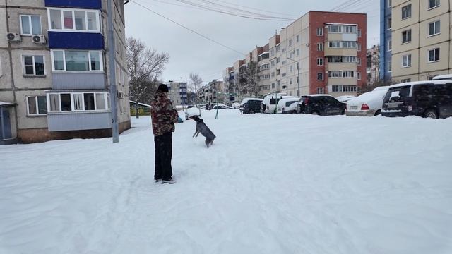 утро 2 января 2026. смотреть онлайн