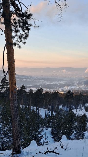 Горы, лес, Улан-Удэ,  Республика Бурятия
