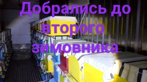 Второй зииовник. Январский обзор зимовки пчёл. Добрались до второго зимовника.