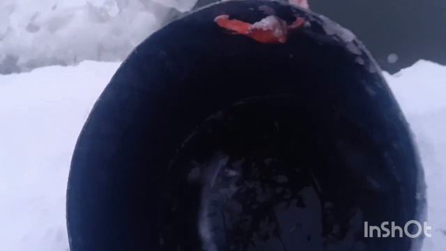 1000137328.mp4 смотреть онлайн