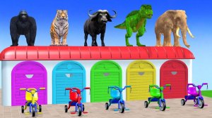 Веселые игры с слоном, гориллой, бегемотом, тигром - 3D игра с животными - Забавные 3D животные