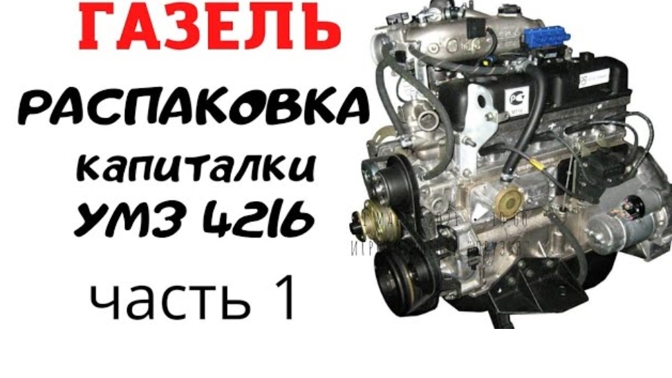 Капитала УМЗ 4216, газель бизнес, разборка мотора.