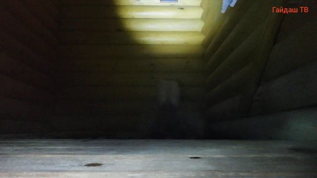 Как не болеть и быстро похудеть. Голодание раз в недел? смотреть онлайн