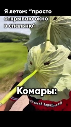 коротко о комарах))