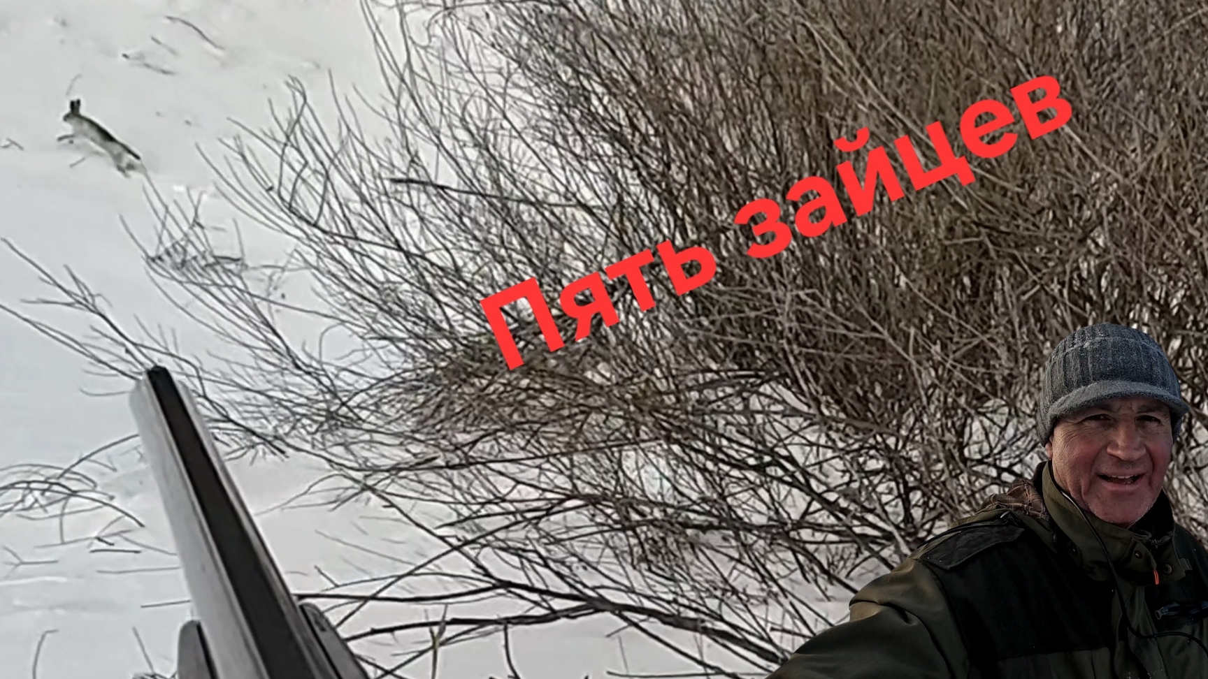 Охота на зайцев 2026 смотреть онлайн