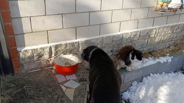 Снежная зима смотреть онлайн