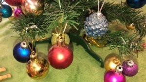 Новогоднее празднование у собачек сквиш 🎄🎉🎄