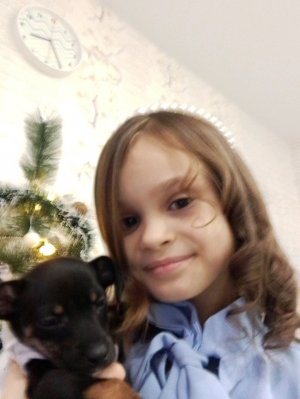 всем привет! заходите в трансляцию !!!