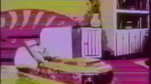 RVA: Чистилище Розы [ мини-хоррор ]