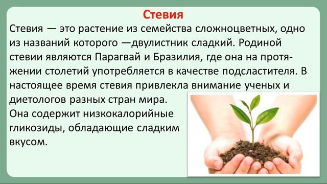 Сахарозаменители при диабете. Стевия и другие сахароз смотреть онлайн