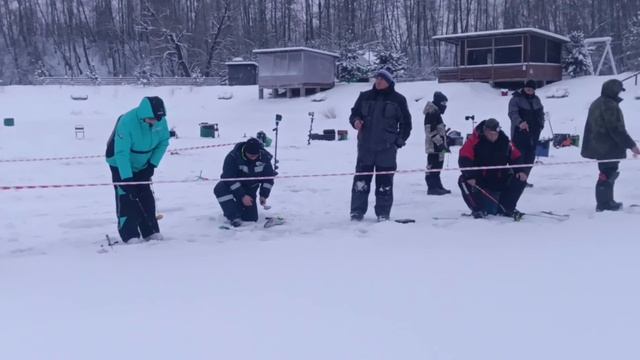 1000137336.mp4 смотреть онлайн