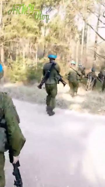 Военный потенциал Латвии, Литвы и Эстонии. Прибалтийские армии, что против России смотреть онлайн