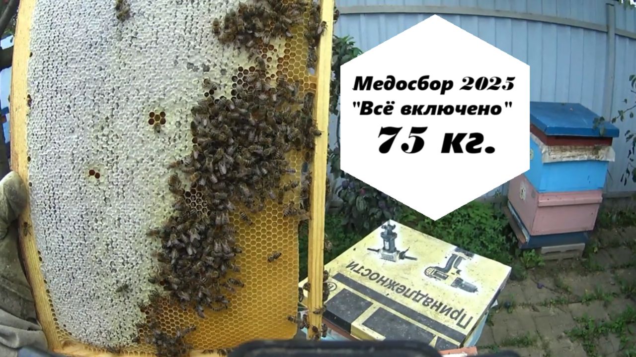 Медосбор 2025 г. в системе пчеловодства "Всё включено". смотреть онлайн