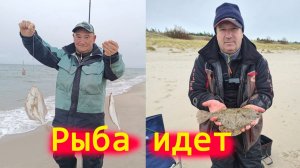 Ловим камбалу на куршской косе 3 ноября