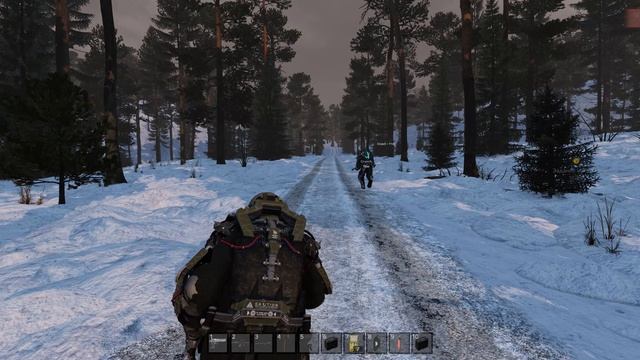 Dayz Stalker Anomaly PVE