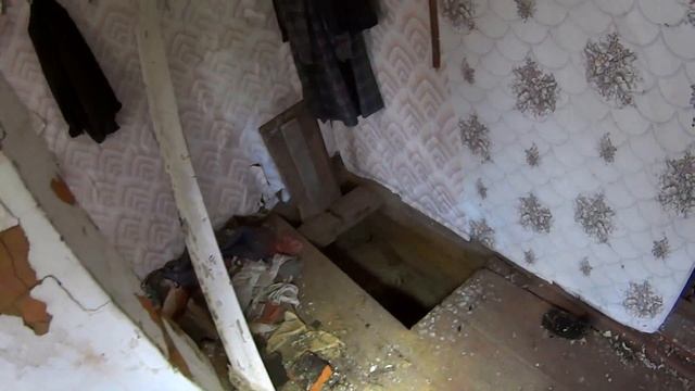 Заброшенная посреди леса деревня Шмелёвка. Заброшенный дом лесника