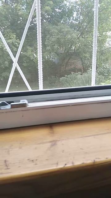 грустно сижу на балконе пью воду ем яйцо одну минуту с? смотреть онлайн