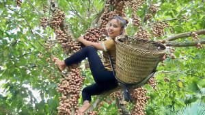 Собирают урожай диких фруктов, и привожу на рынок продавать.  Покупают утят для выращивания. Дуонг