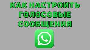 Как настроить голосовые сообщения в Ватсапе