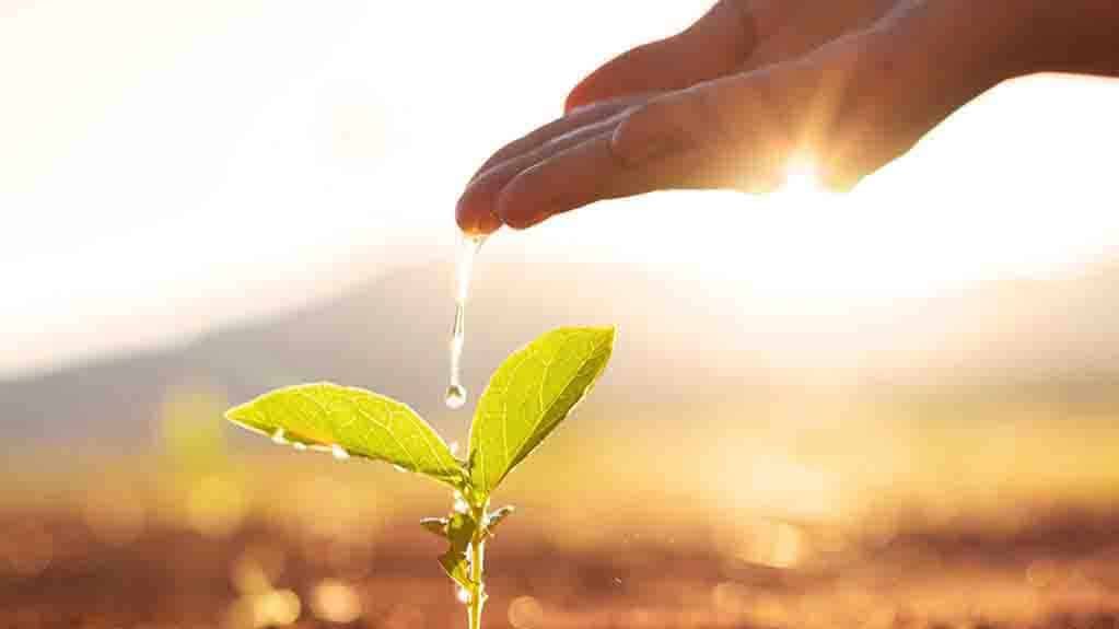 10 10 2021 Павел Райн - Сила семени смотреть онлайн