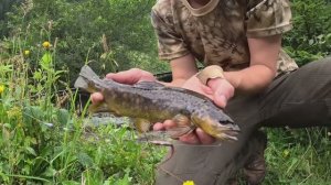 24 ЧАСА (без еды, воды и крова) в одиночном выживании! Но есть удочкой , и рыбалкой !