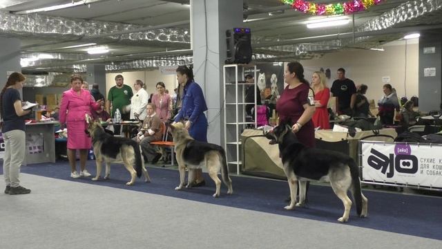 Сравнение на ЛК смотреть онлайн