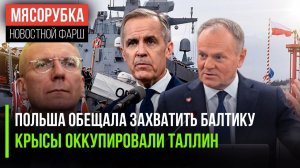 Польша решила «хапнуть» Балтийское море || Таллин утонул в крысах || Канада строит базу возле России