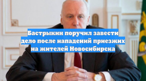 Бастрыкин поручил завести дело после нападений приезжих на жителей Новосибирска