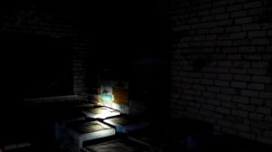 Первый день зимовки пчёл