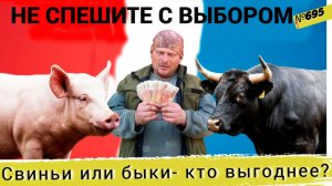 Не спешите с выбором: свиньи или быки — кто на самом деле выгоднее? Омская деревня.