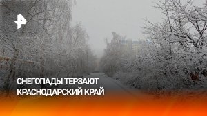 Аномальные снегопады ударили по всей инфраструктуре Краснодарского края