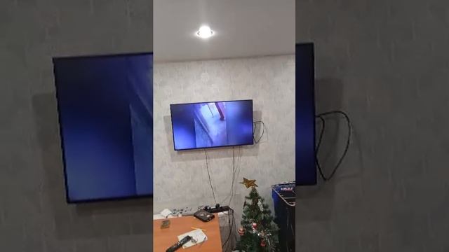 Смотрим страшные видосики с Вероникой! смотреть онлайн