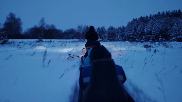 Вечерние покатушки на буране по лесу #буран #природа #зимнийлес