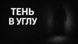 Тень в углу. Страшные. Мистические. Творческие истории
