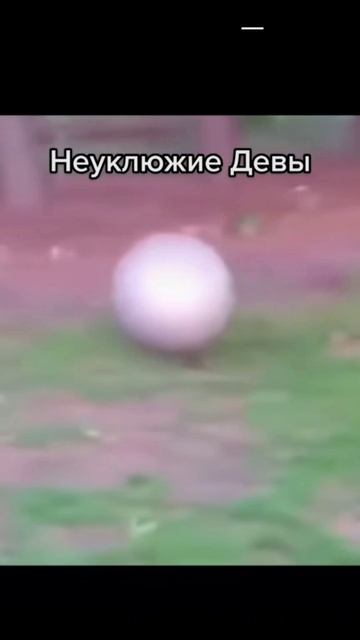 Надеюсь вы попались:) смотреть онлайн