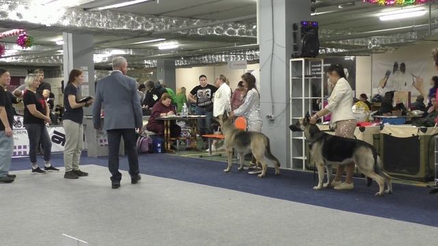 Класс открытый