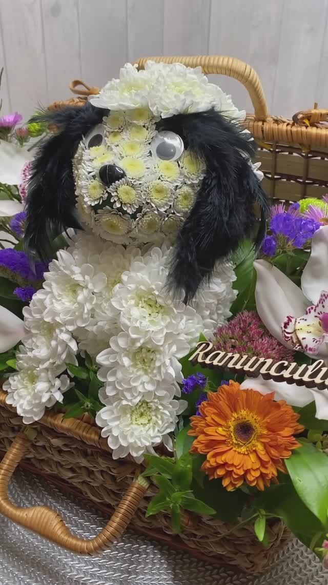 Собака породы хин из живых цветов смотреть онлайн