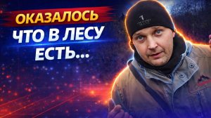 ОКАЗАЛОСЬ, В ЛЕСУ БЫЛО БОГАТОЕ ПОСЕЛЕНИЕ ЦАРСКИХ ВРЕМЁН