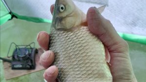 ОХОТНИК за РЫБОЙ  03.01.2026.