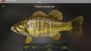 ТРОФЕЙ ОКУНЬ МАЛОРОТЫЙ!!!ЛОСИНОЕ ОЗЕРО - РУССКАЯ РЫБАЛКА 4