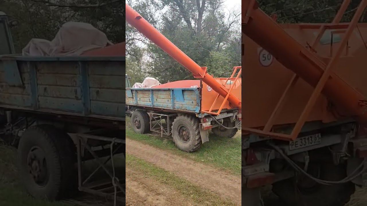 19 Октября | СЕЕМ ОЗИМУЮ ПШЕНИЦУ