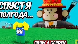 ЗАШЕЛ В ВЫРАСТИ САД СПУСТЯ ПОЛ ГОДА И БЫЛ В ШОКЕ | GROW A GARDEN ROBLOX!
|@МиниНуб_Games|