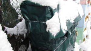 пчелы в январе, контроль зимовки, часть 3 , 3.01.2026 , хорошие показатели приборов для зимовки