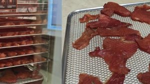 Дегидратор ,пивчики и чипсы из свинины